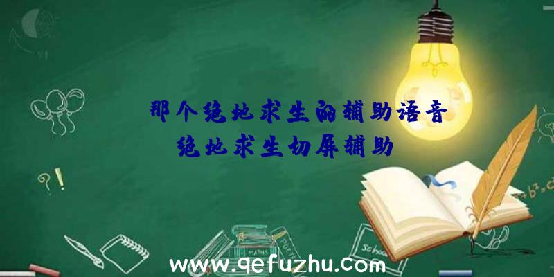 「yy那个绝地求生的辅助语音」|绝地求生切屏辅助